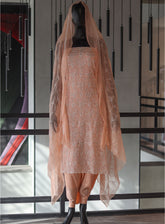 Moin Block Embroidered Chiffon 2 Piece Unstitched Suit - MBLK24EN D-04