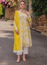Nissa By RajBari Embroidered Lawn 3 Piece Unstitched Suit RB25NFS D-01