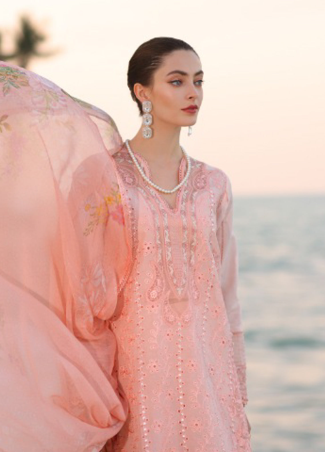 Noor By Saadia Asad Embroidered Lawn 3 Piece Unstitched Suit SA25ELHL D-3B Noor By Saadia Asad Embroidered Lawn 3 Piece Unstitched Suit SA25ELHL D-3B