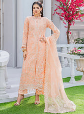 Raad Luxury Formal Embroidered Organza 3 Piece Stitched Suit RD26LF RA-35 PH SHAHKAAR