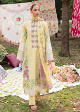 RajBari Schiffli Printkari Embroidered Lawn 3 Piece Unstitched Suit RB25S SPE-11