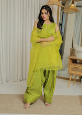 Rangeen Festive Luxe Printed Raw Silk 3 Piece Stitched Suit RN25FL-3P D-LIME LUX