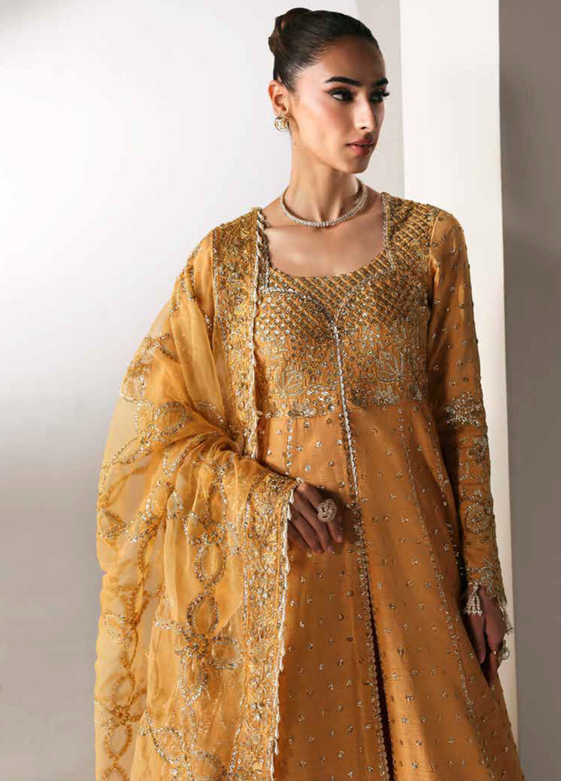 Serein By Emaan Adeel Premium Embroidered Raw Silk 3 Piece Unstitched Suit EA25SLS D-GOLDEN HOUR Serein By Emaan Adeel Premium Embroidered Raw Silk 3 Piece Unstitched Suit EA25SLS D-GOLDEN HOUR