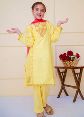Shanzey Embroidered Cambric Suits Stitched 3 Piece For Girls S25EC SHK-4601