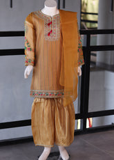 She Club Girls Fancy Masoori 3 Piece Stitched Suit SC24KF D-06-30