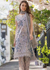 SN Basics By Sobia Nazir Embroidered Lawn 3 Piece Unstitched Suit SN25SNB D-6B