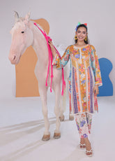 Working Women By Schick Digital Printed Lawn 2 Piece Unstitched Suit SDH25WWV2 DP-02