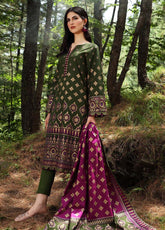 D#tk12014a Gulahmed Fall Winter Collection 921