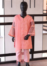 Aroob Fancy Embroidered Chiffon Stitch 3 Piece Suit - ARB24G 32