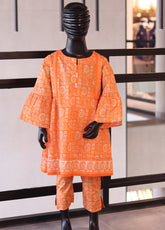 Aroob Fancy Embroidered Cotton Stitch 2 Piece Suit - ARB24G 93