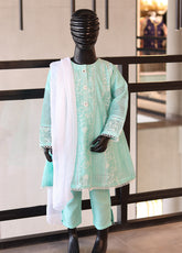 Aroob Fancy Embroidered Cotton Stitch 3 Piece Suit - ARB24G 60