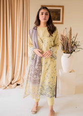 Ayna By Rashid Textile Embroidered Lawn Unstitched 3 Piece Suit - RT24AL 8198
