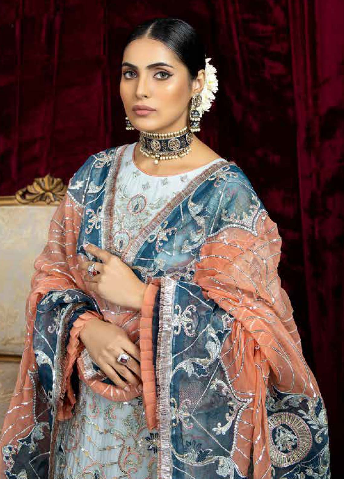 D#02 Raisham Dhaga Emb Wedding Festive Collection 223 D#02 Raisham Dhaga Emb Wedding Festive Collection 223