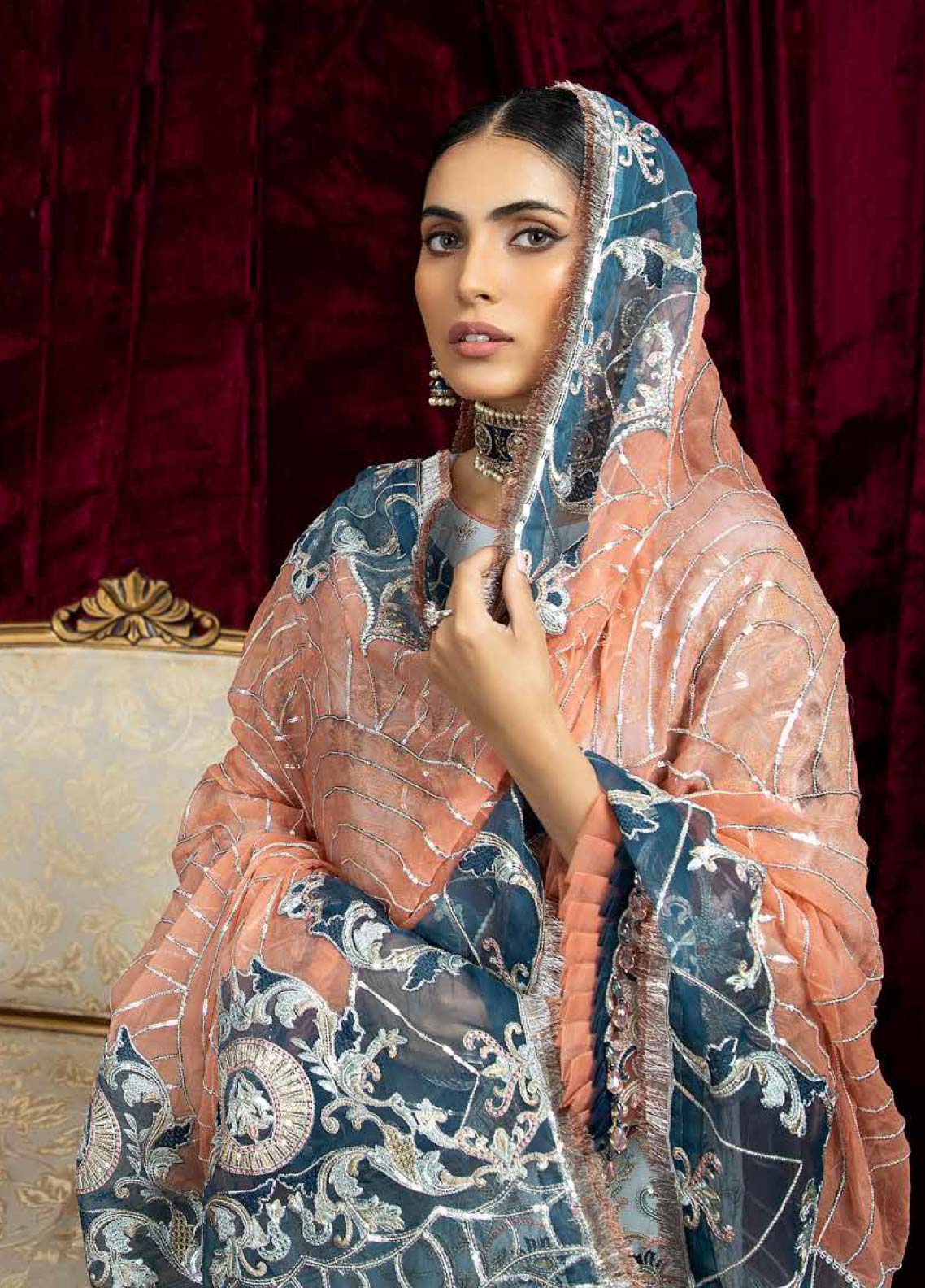 D#02 Raisham Dhaga Emb Wedding Festive Collection 223 D#02 Raisham Dhaga Emb Wedding Festive Collection 223