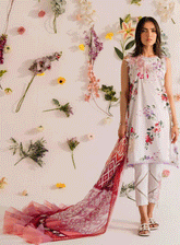 Meraki by Asifa & Nabeel Embroidered Lawn Unstitched 3 Piece Suit - AN23SL MKL-04
