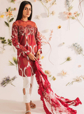 Meraki by Asifa & Nabeel Embroidered Lawn Unstitched 3 Piece Suit - AN23SL MKL-05