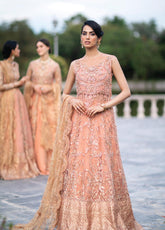 D#05 Mushq Serendipity Trousseau De Luxe Collection 1022