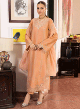 RajBari Embroidered Lawn Unstitched 3 Piece Suit - RB23EL 3B