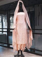 Royal Fashion Embroidered Chiffon Unstitched 2 Piece Suit - RF23EE ET2526-5