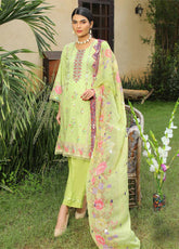 D#07 Ruqayyah Trend Flair Emb Cotton Collection 922