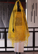 Royal Fashion Exclusive Organza Aar & Gota 2 Piece Unstitched RF24BEC-1-206196