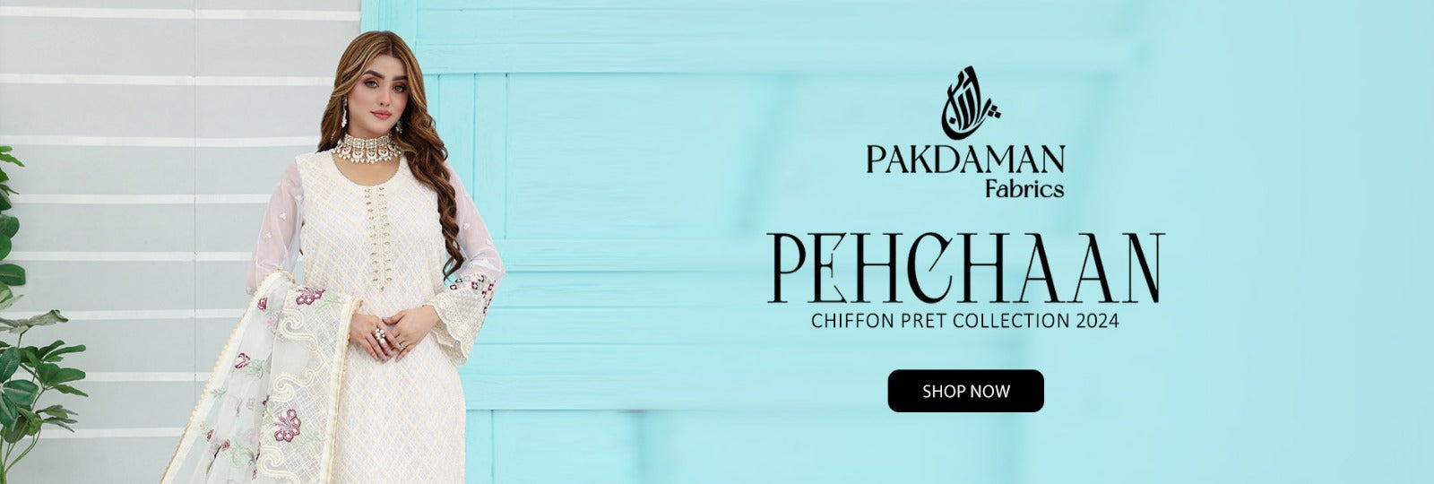 Pehchaan By Pakdaman Fancy Chiffon 3Pcs Stitched Collection 2024