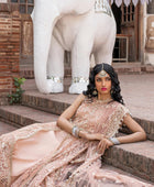 D#10 Afrozeh Dastangoi Wedding Formals Emb Collection 923