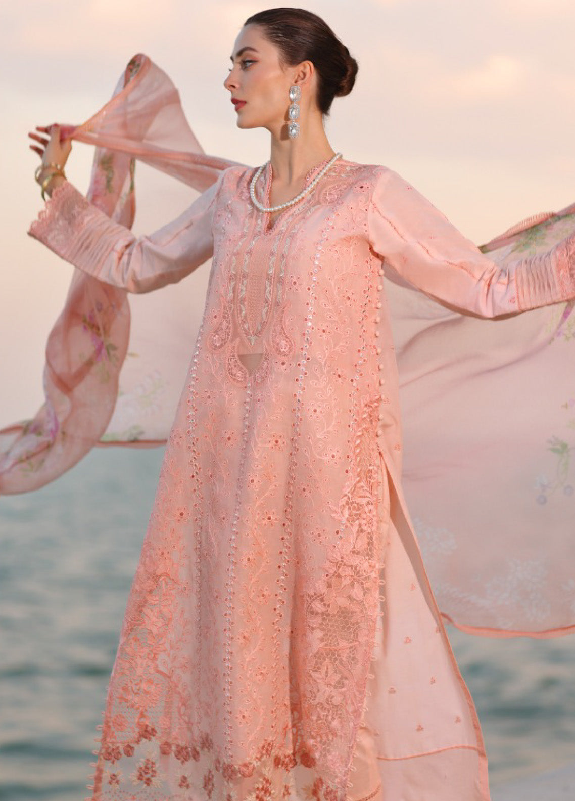 Noor By Saadia Asad Embroidered Lawn 3 Piece Unstitched Suit SA25ELHL D-3B