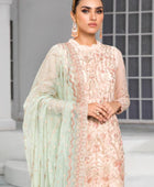 D#10 Zarif De Luxury Emb Formal Collection 1022 Light Pink