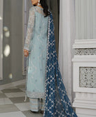 D#201 Maryams Andaaz Luxury Emb Collection 323 V-2