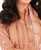 D#25.1 AlKaram Winter Collection 1022 3Pc